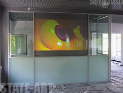 Купить жесткий контрастный экран VISIO по выгодным ценам в Москве